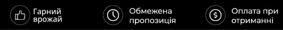 Image title